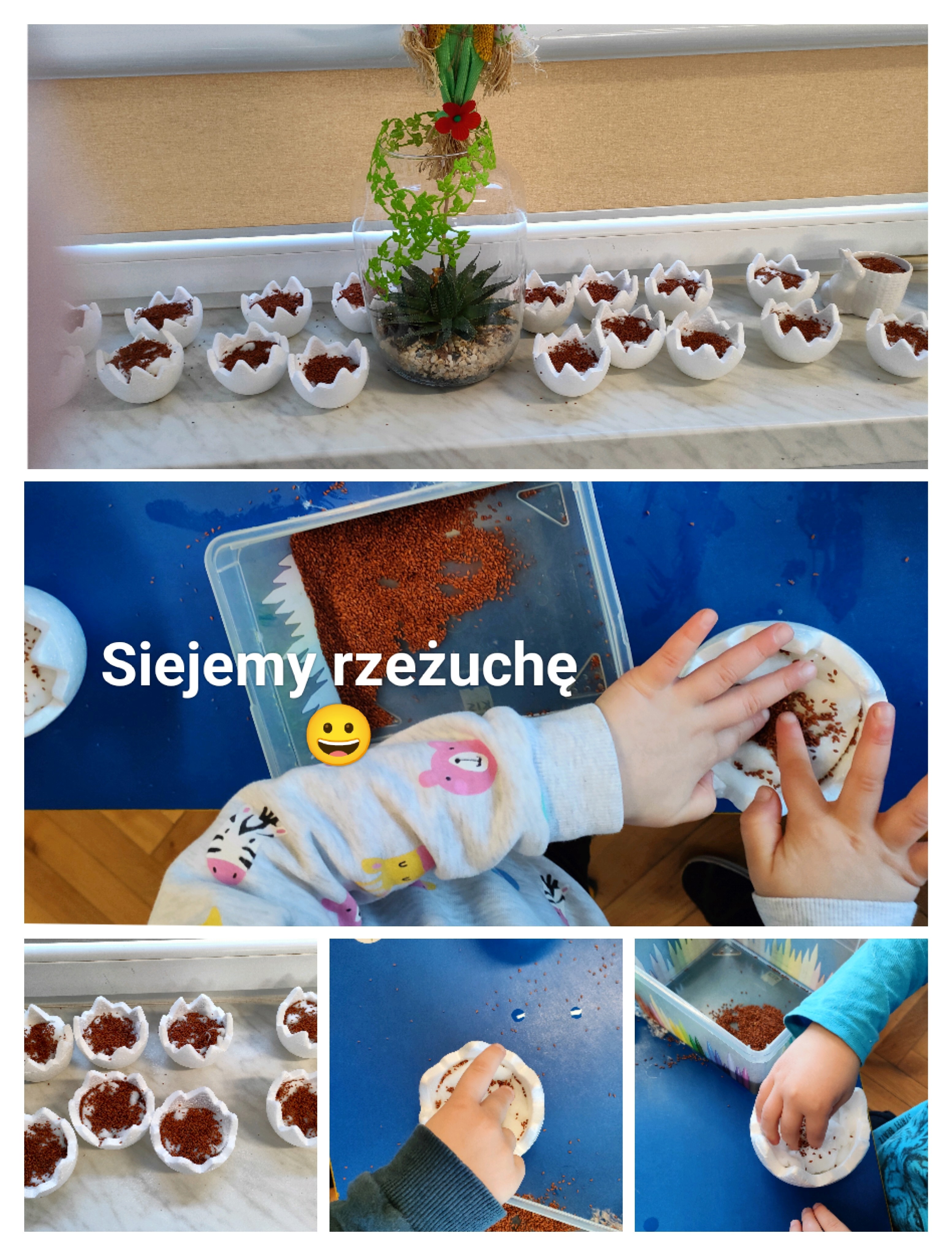 siejemy rzeżuchę